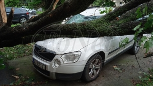 Posledice rada vlasti